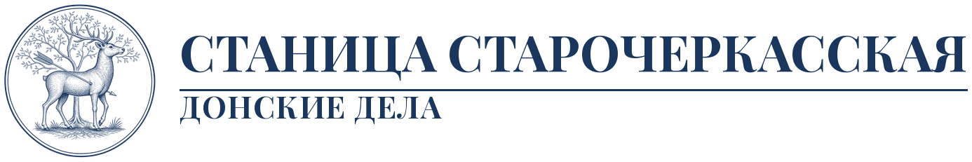 Станица Старочеркасская — Донские дела