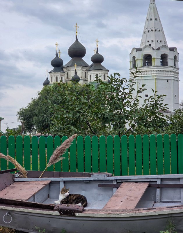 Старочеркасская и её писатели